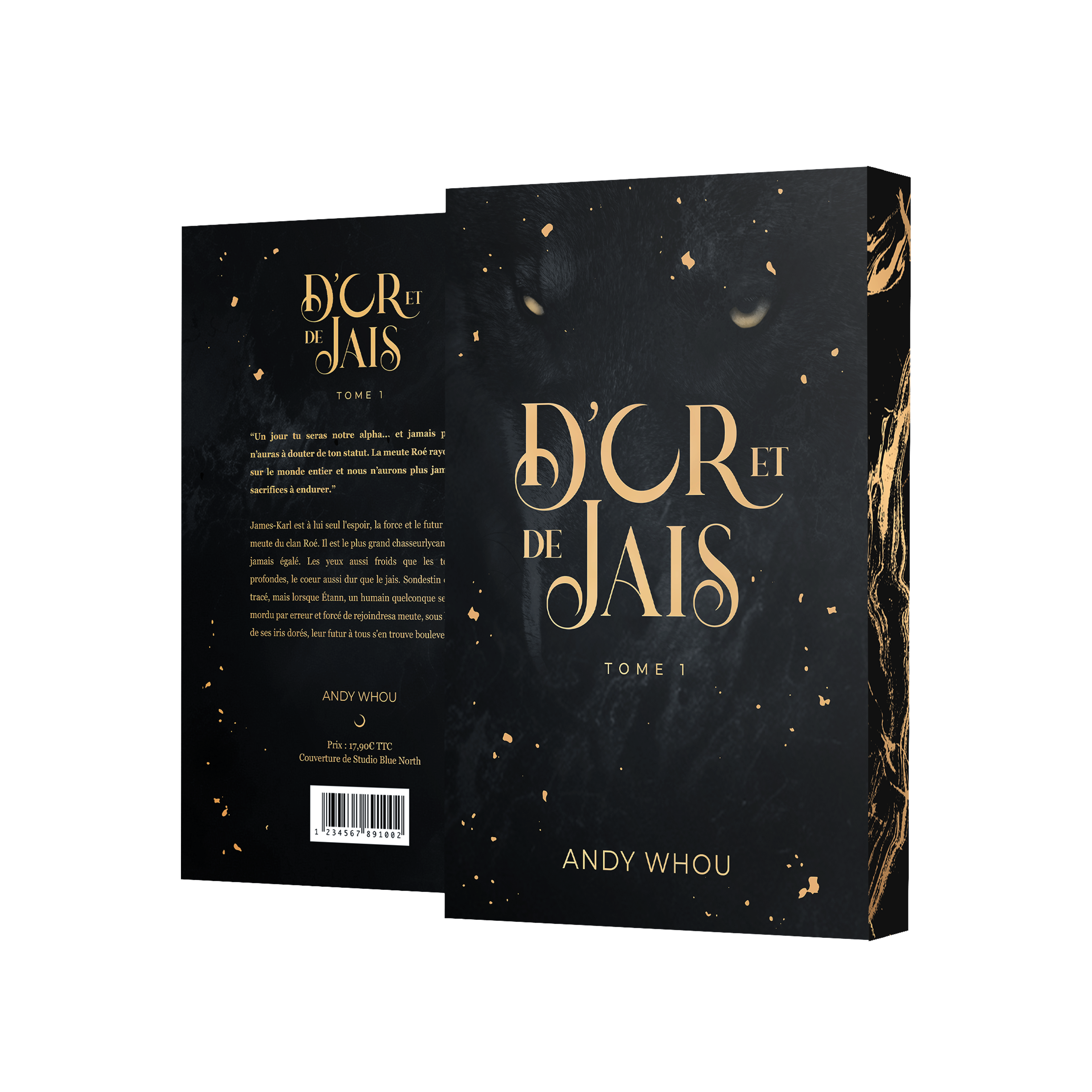 D'or et de Jais, Tome 1 Andy Whou