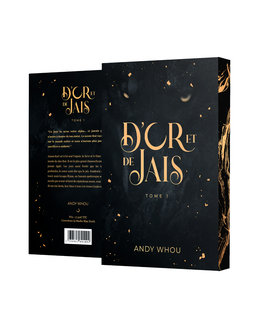 Boutique andy D'or et de Jais tome 1